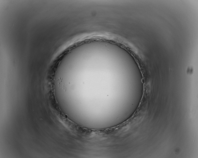 X0000102231496200807250756
