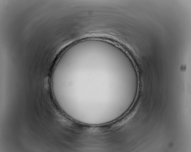 X0000102231497200807250756