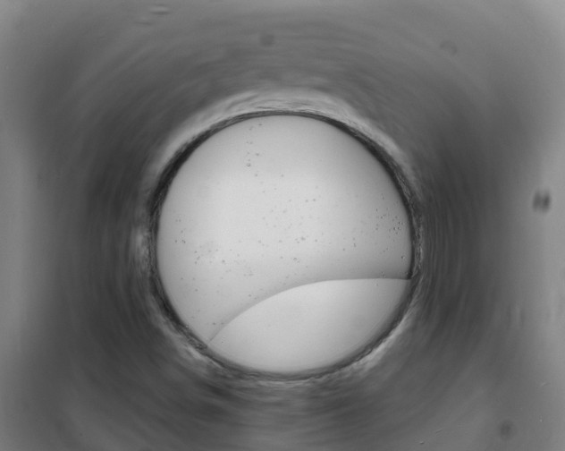 X0000102231498200807250756