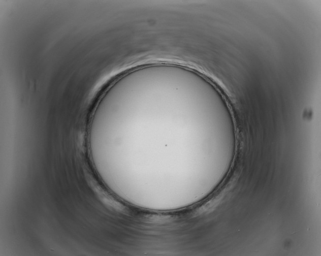 X0000102231499200807250756