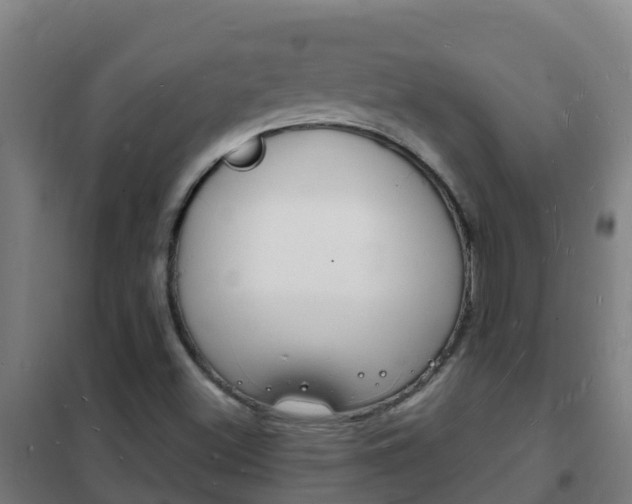 X0000102231500200807250756