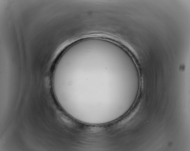 X0000102231501200807250756