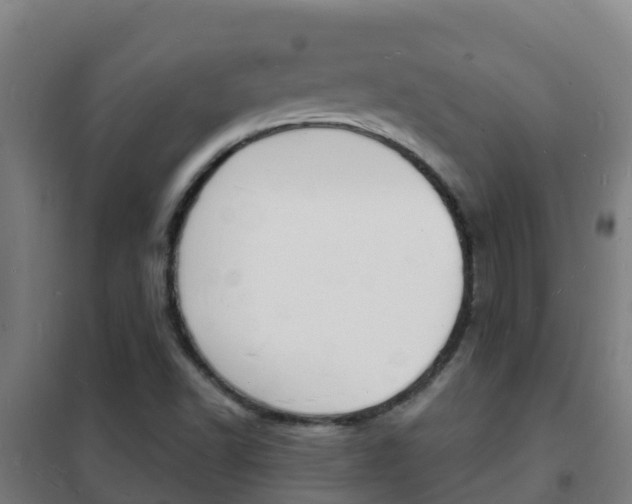 X0000102231502200807250756
