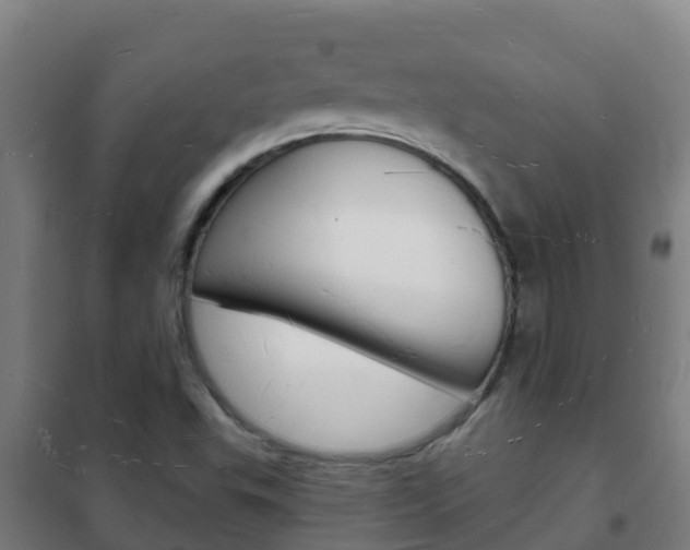 X0000102231503200807250756