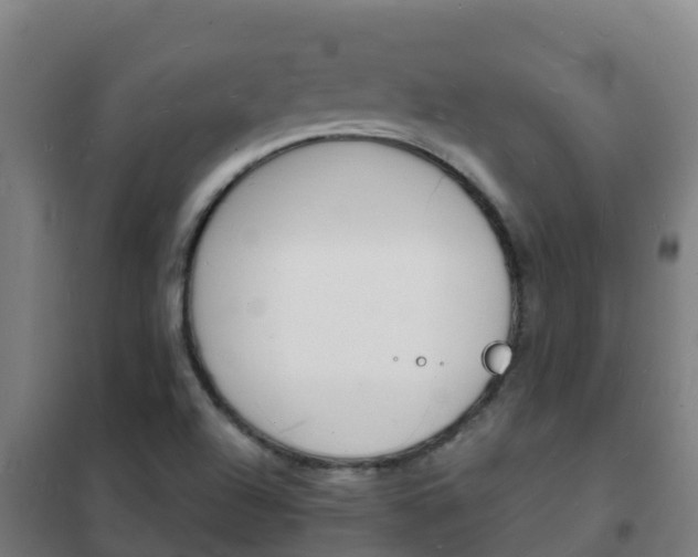 X0000102231504200807250756