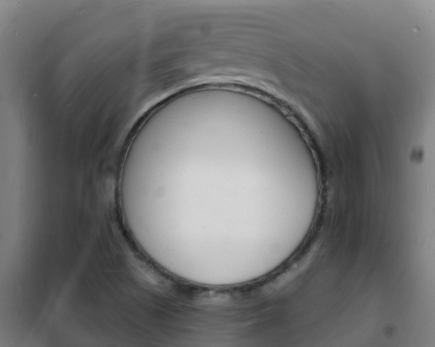 X0000102231505200807250757