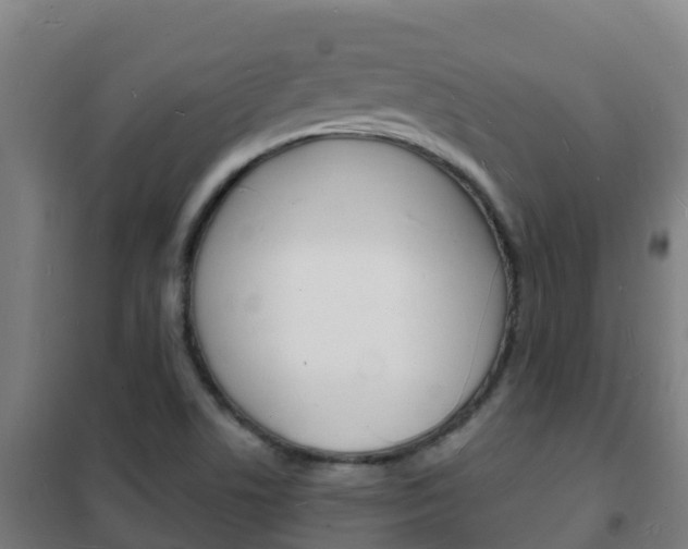 X0000102231506200807250757