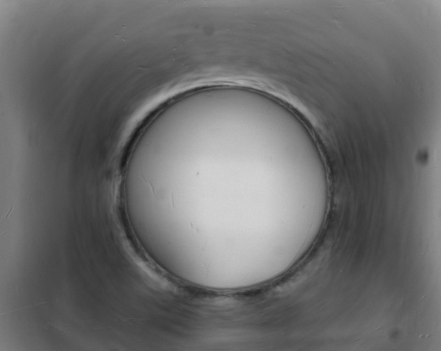 X0000102231507200807250757
