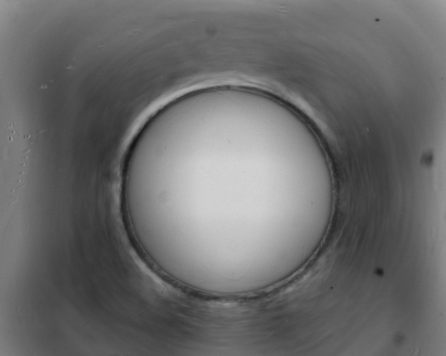 X0000102231508200807250757