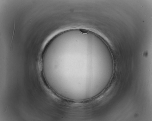 X0000102231510200807250757