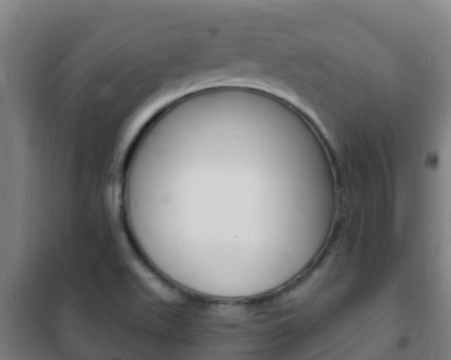 X0000102231511200807250757