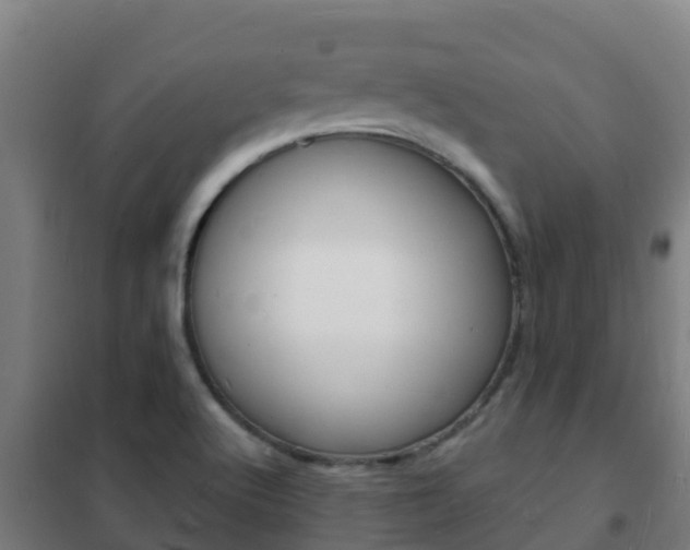 X0000102231512200807250757