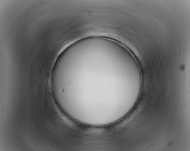 X0000102231513200807250757