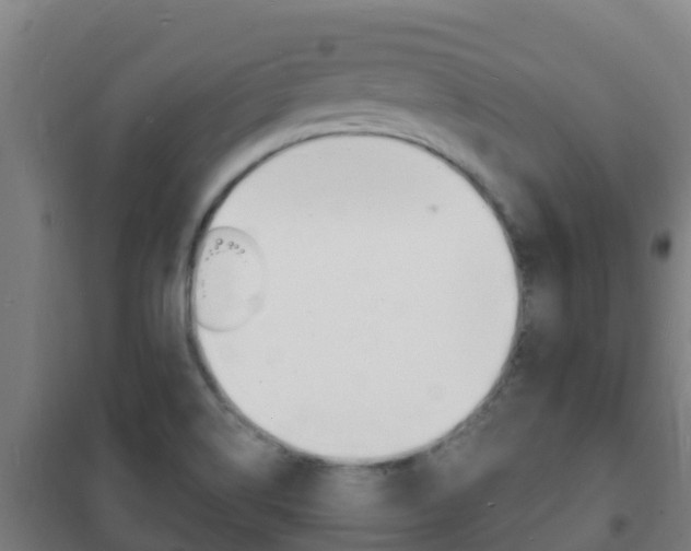 X0000102231514200807250757