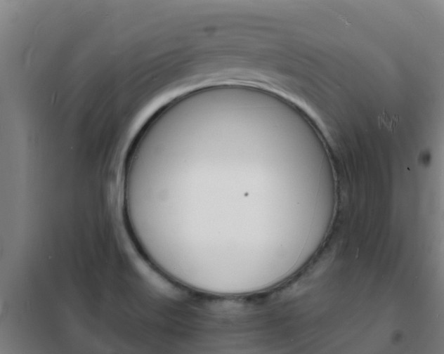 X0000102231515200807250757