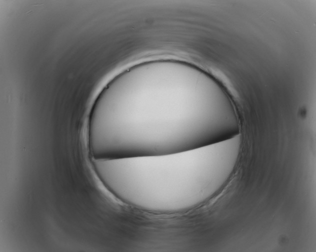 X0000102231516200807250757