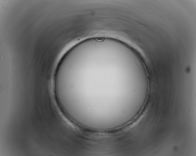 X0000102231517200807250757