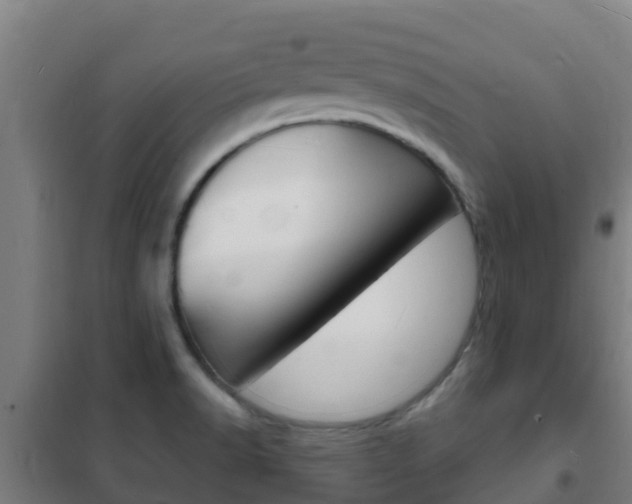 X0000102231518200807250757