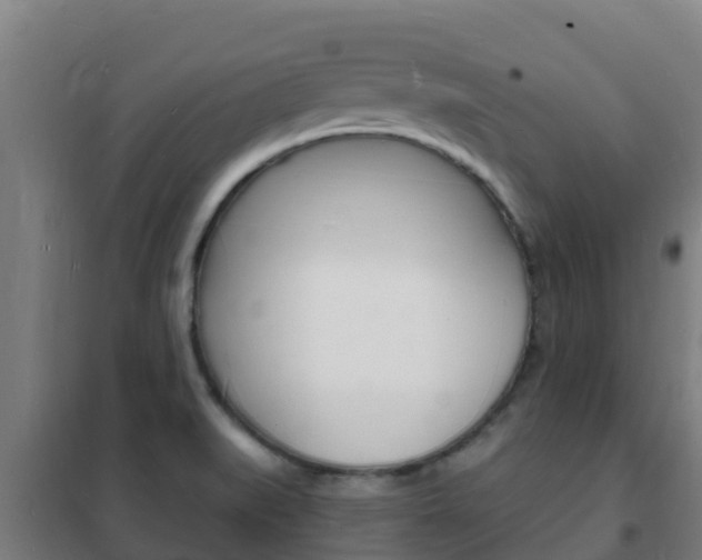 X0000102231519200807250757