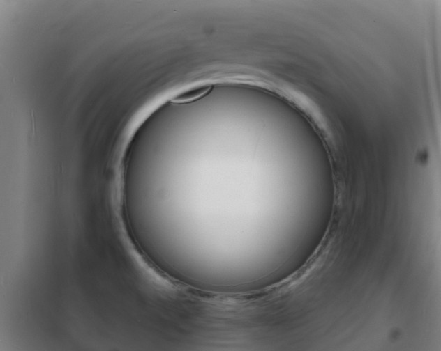 X0000102231520200807250757