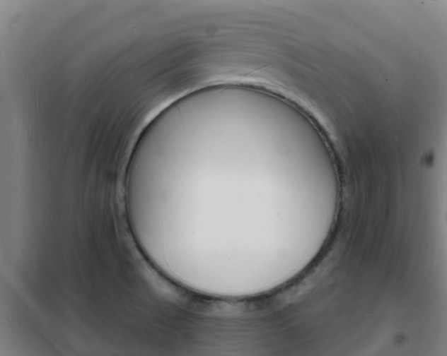X0000102231521200807250757