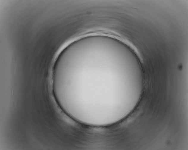 X0000102231522200807250757