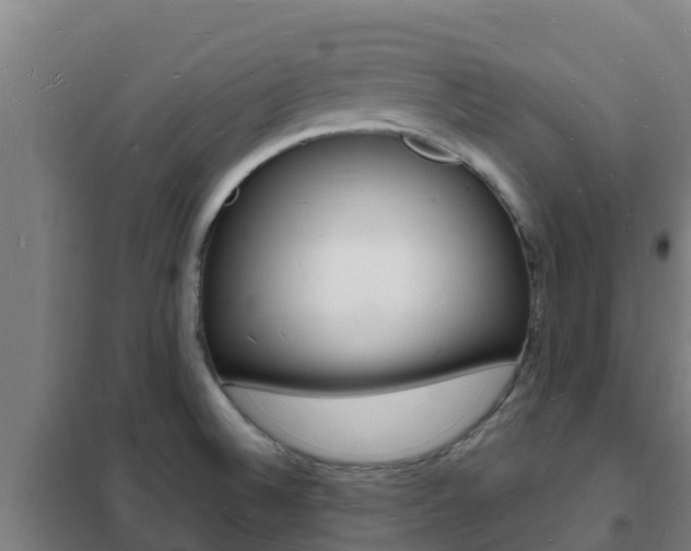 X0000102231524200807250757