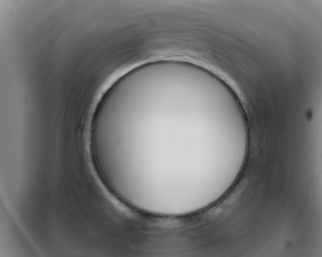 X0000102231525200807250757
