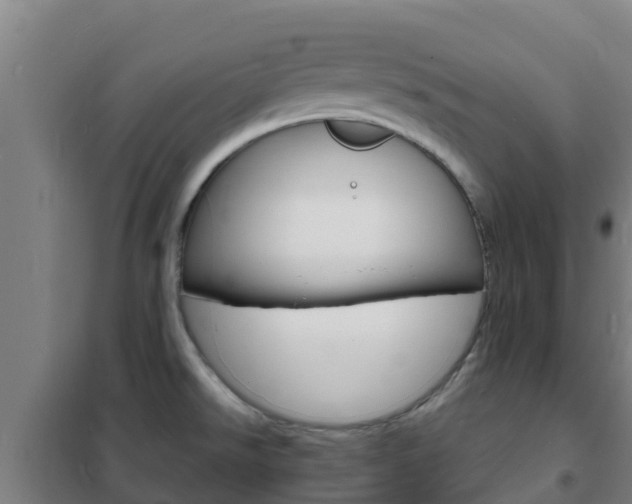 X0000102231526200807250757