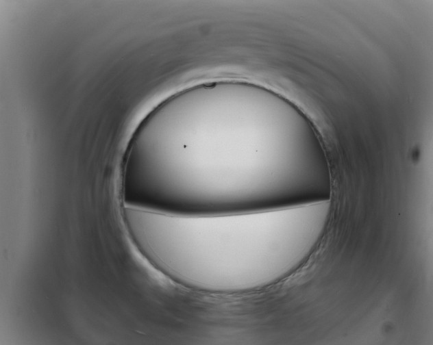 X0000102231527200807250757