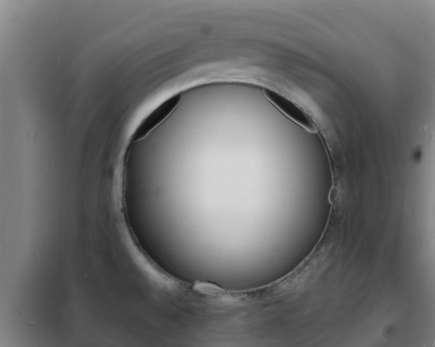 X0000102231528200807250757