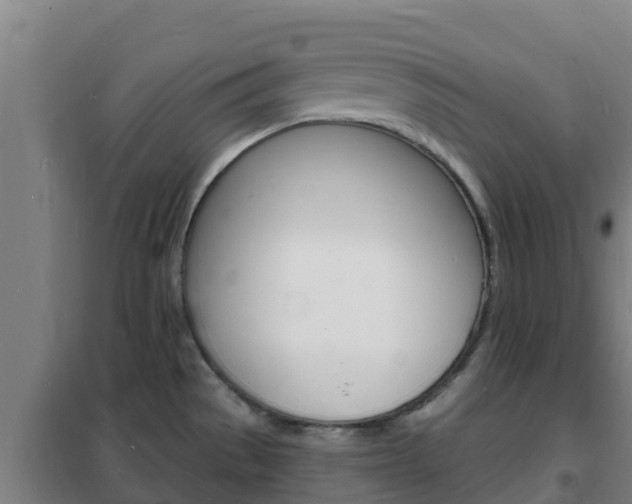 X0000102231529200807250757