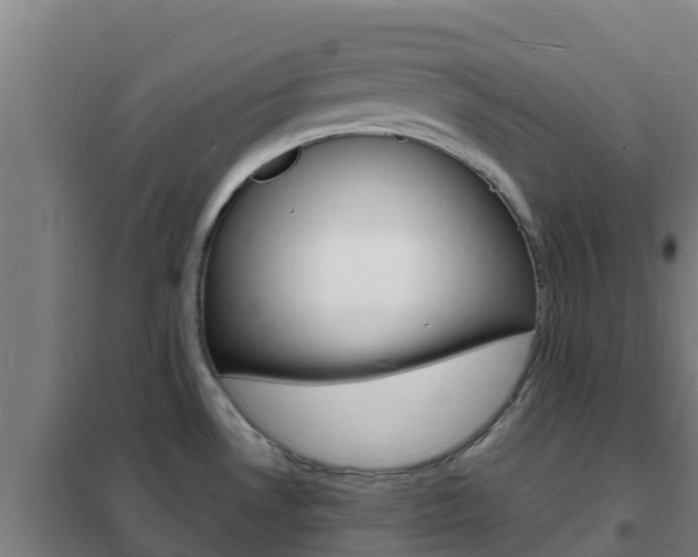 X0000102231530200807250757