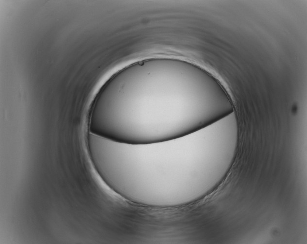 X0000102231531200807250757