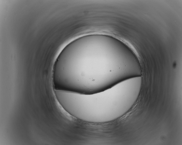 X0000102231532200807250757