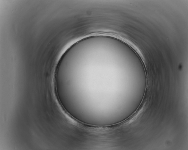 X0000102231533200807250757
