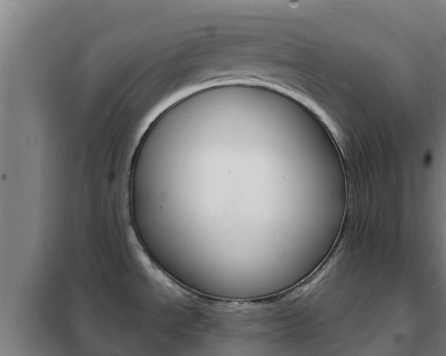 X0000102231534200807250757