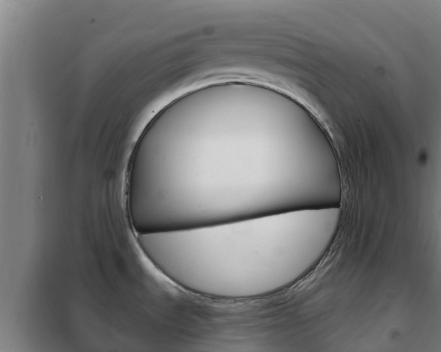 X0000102231535200807250757