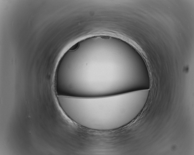 X0000102231536200807250757