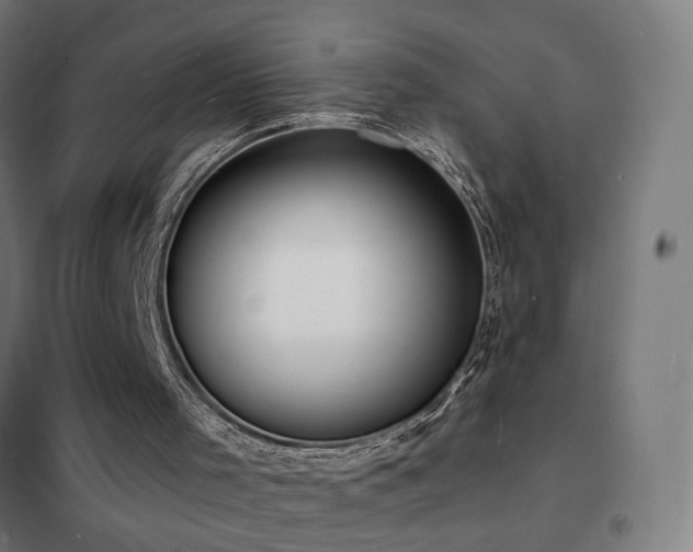 X0000102230001200807251246