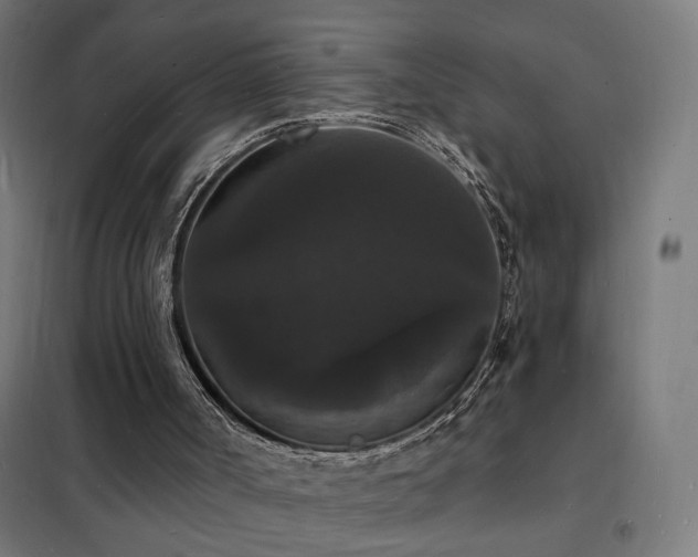 X0000102230002200807251246