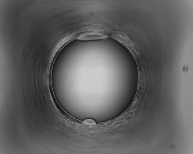 X0000102230003200807251246