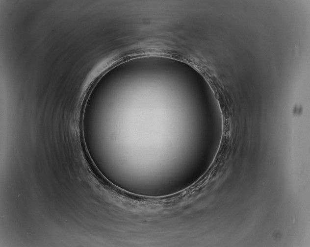 X0000102230004200807251246