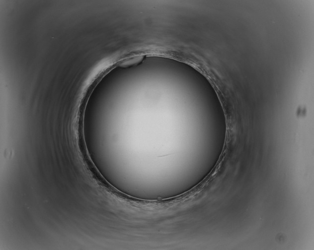 X0000102230006200807251246