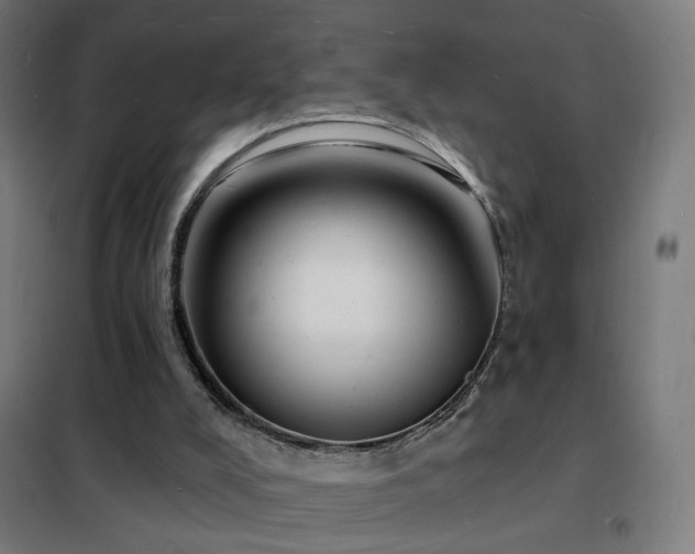 X0000102230008200807251246