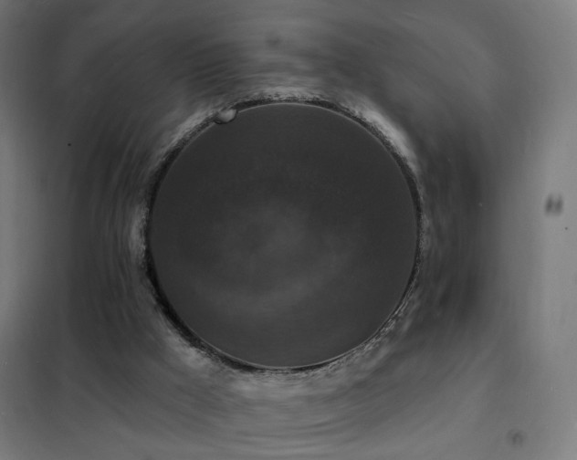 X0000102230009200807251246