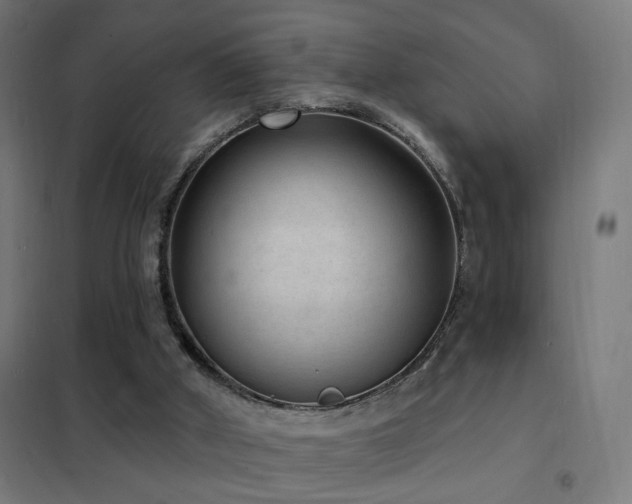 X0000102230010200807251246