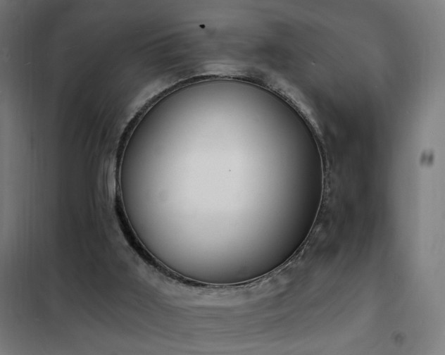 X0000102230011200807251246