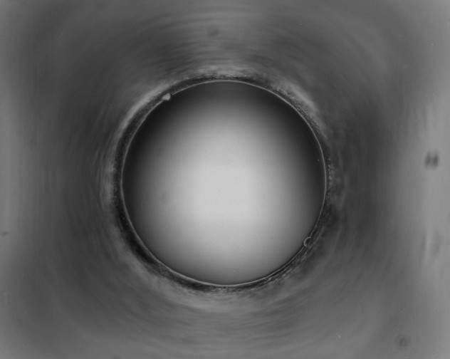 X0000102230012200807251246