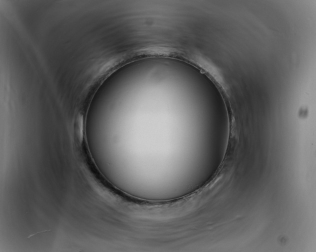 X0000102230013200807251246